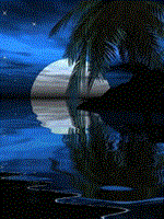سبكبال ,غم و اندوه وفقررا سپردم به باد  سبكبار, سنگيني غصه هاي ديروز را سپردم به خاك سبك روح, كوله بارآينده پر بيم و هراس را سپرده ام به آب سر خوش از اين بريدن ها, به دور از كشمكش ها, دورنگي ها, به دور از ناجوانمردي ها, نامردمي ها  تا بتوانم بياسايم در سايبان شاخسار